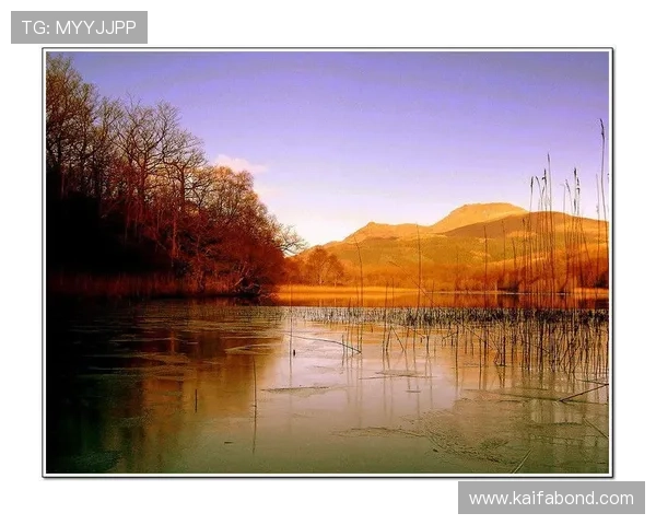 凯发真人网娱乐有限公司最新行业动态与发展趋势，掌握未来娱乐市场新机遇